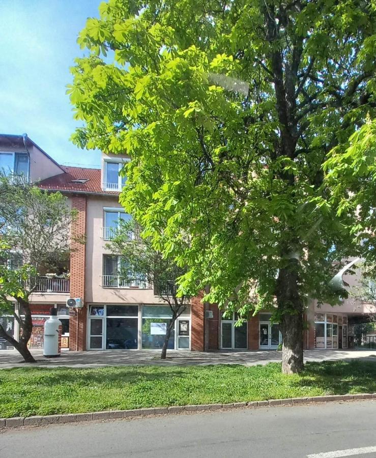 Rozsa Apartman 凯斯特海伊 外观 照片